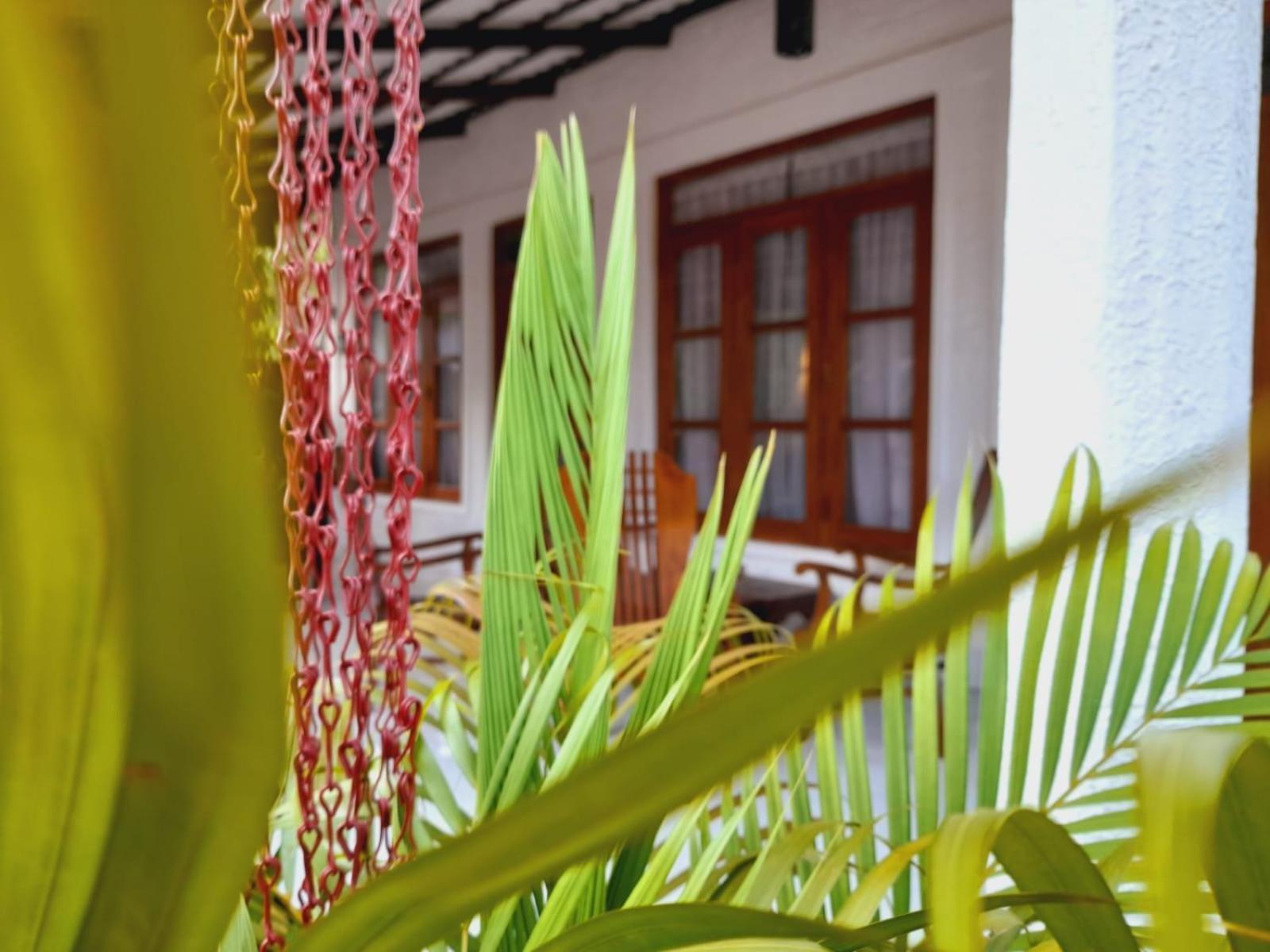 The Cozy Cottage Habarana Exterior foto